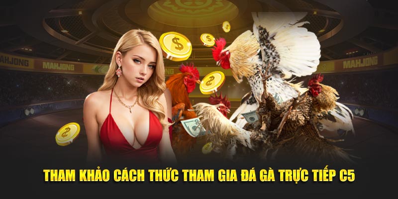 Tham khảo cách thức tham gia đá gà trực tiếp C5